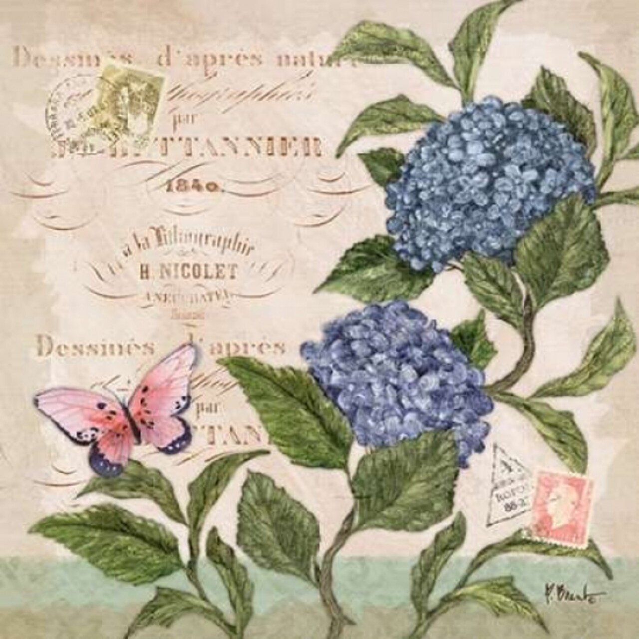 Parisian Hydrangeas II Poster Print by Paul Brent - Item # VARPDXBNT730